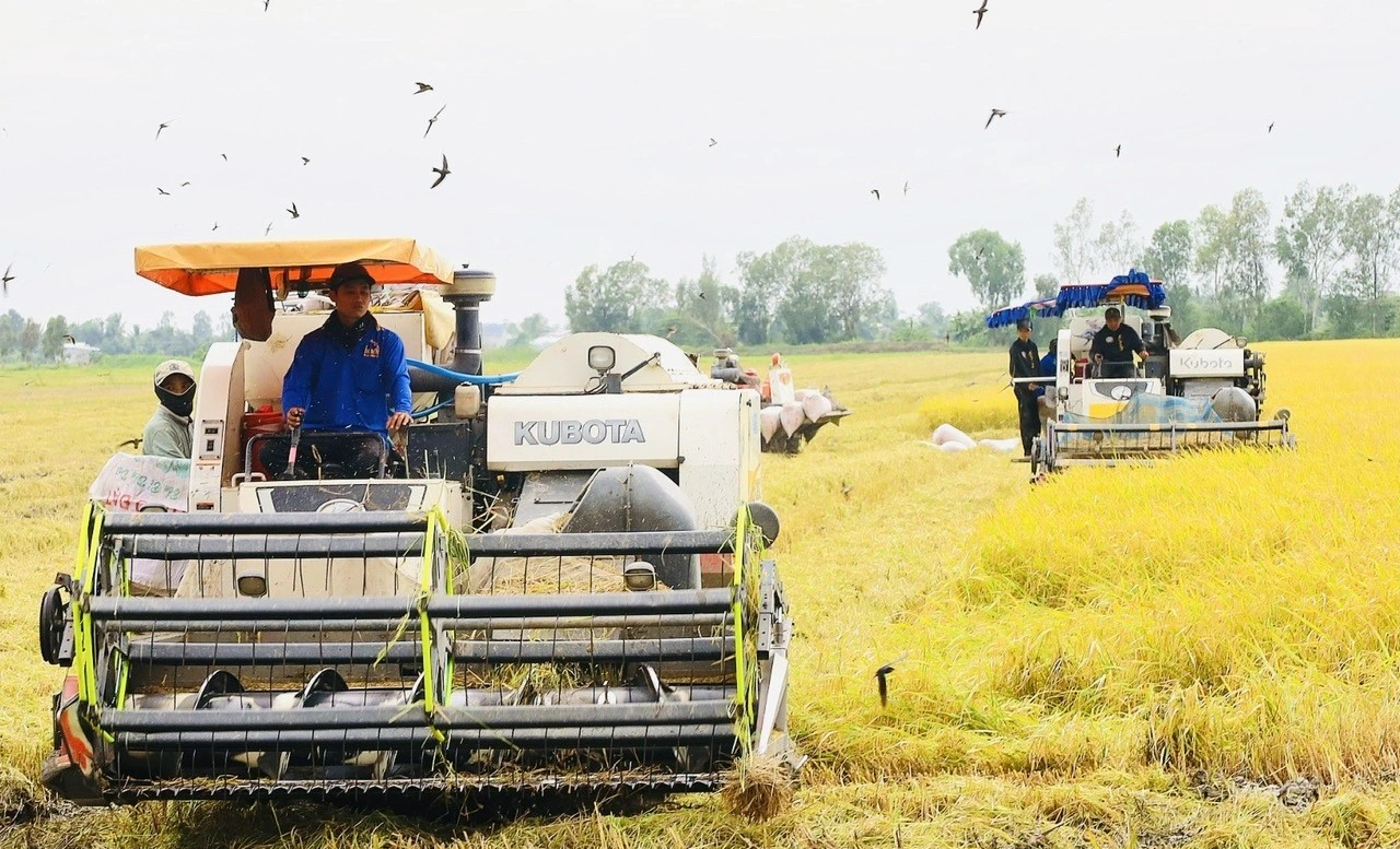 ĐBSCL đang đối diện với nhiều nghịch lý phát triển