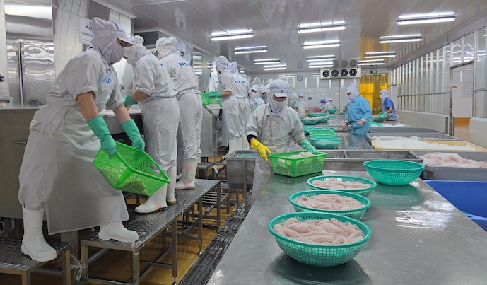 For the Mekong Delta to transform, there must be 'businesses leading businesses'