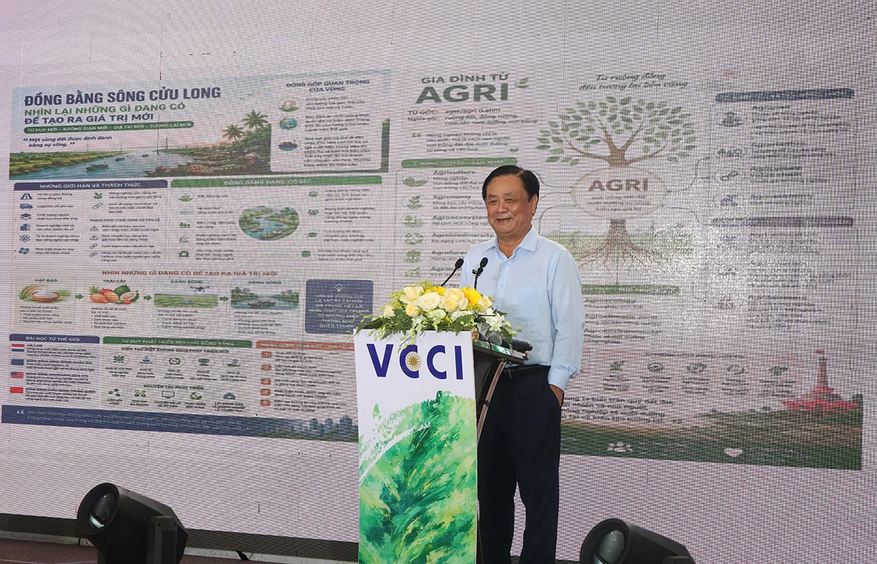 The Mekong Delta faces a challenge: an excess of micro-enterprises and a shortage of leading companies